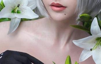 精选Sayathefox的蕾姆写真，打破常规，来点新鲜的。