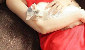 推女神 - 吕梦玉的网袜写真，带你体验一场“看起来很简单”的复杂之旅？